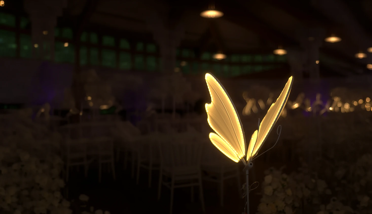 Sena Concept Studio und Hochzeitskulisse